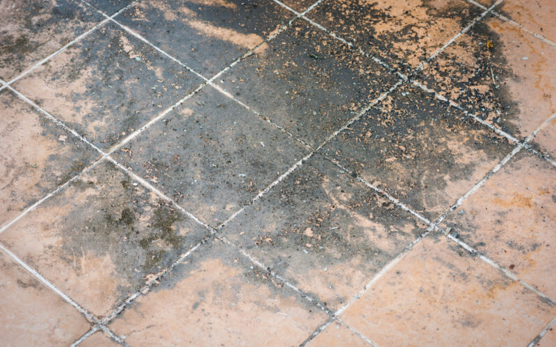 Mildewed tiled floor